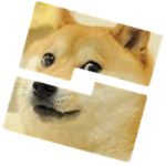 Spoof Doge Studios