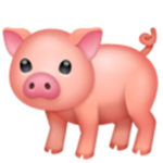 Piggy's <3