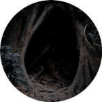 Cradle of Reality.