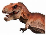 Rex Family