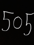 *_505_*