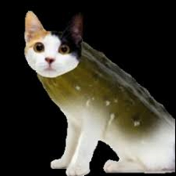 Pickle island and Giant cats..+Some other stuff :]