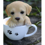 DOGGI