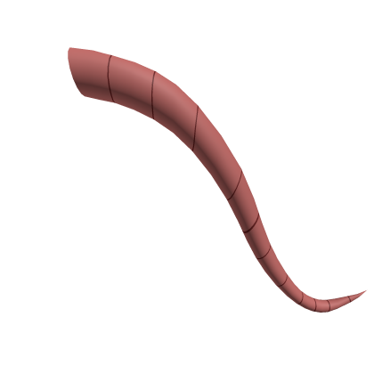 Terrible Mouse Lorna's Tail