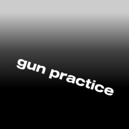 gun practice