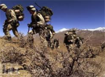 mountian fighters
