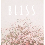 Bliss & Bliss