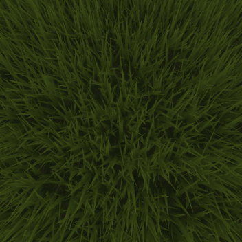 Grass