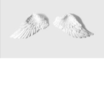 Bellas Angels <3