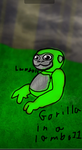 Gorilla in a lambo11 YouTuber