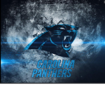 PANTHERS FOREVER BOIS