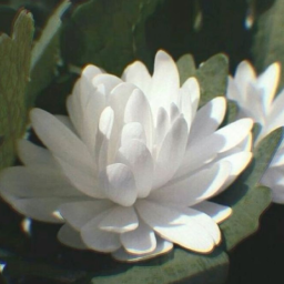 ୨ ๋🌼 𝅄 🌿🧺
