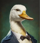 Duckington.co