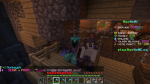 NetherKiddo's fans
