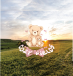 * cozy fields .. OFFICIAL *