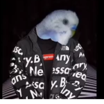 The birds vs the borgs fan group