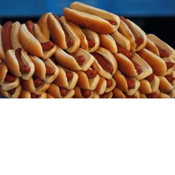 HOT DOG HANG OUT
