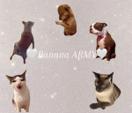 Bananan# AMRY