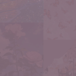 Fan Group of fun