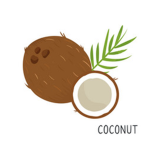 Coconut_Firends