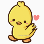 the ducki3 group