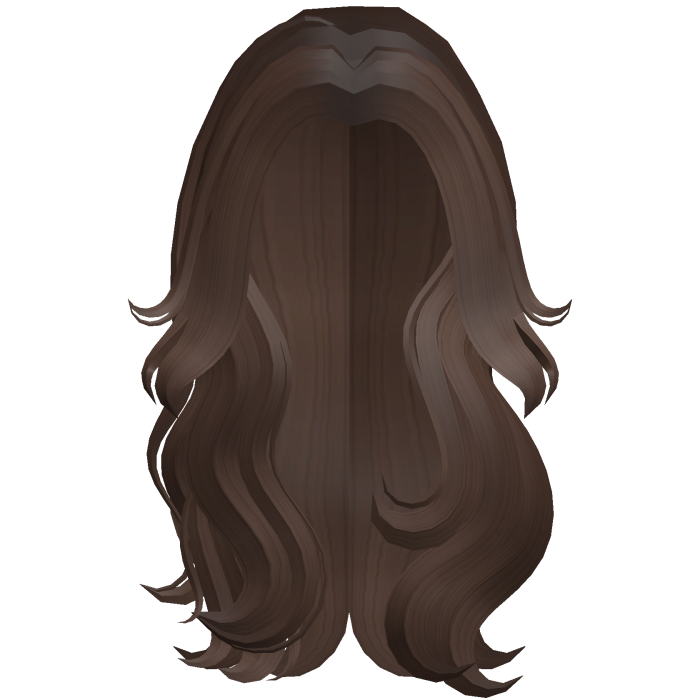 Long Flowy Wavy Hair (Brown)