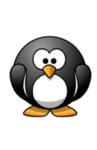 cute little penguins <3