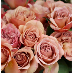 {RCDD} The Rose Cafe Department of Discipline