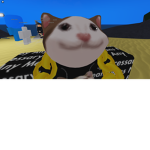 AWSOME PRO POPCATS