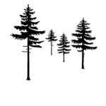 Pinest Clothes