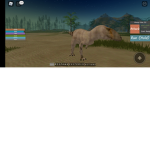 Zizzy and pony army!