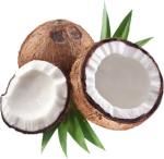 Coconut Army
