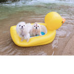 찬이 패밀리
