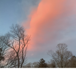 Aesthetic things and magical days