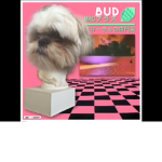 Korblox poooooooooooo