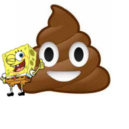The Poop Washer Game