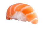 Sushi_pawz fan club