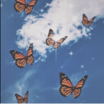 Tay's Butterflies!