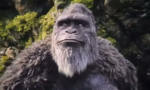 The monke Squad