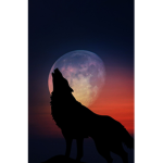 LE WOLF GROUP