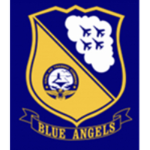 PT FS Blue Angels