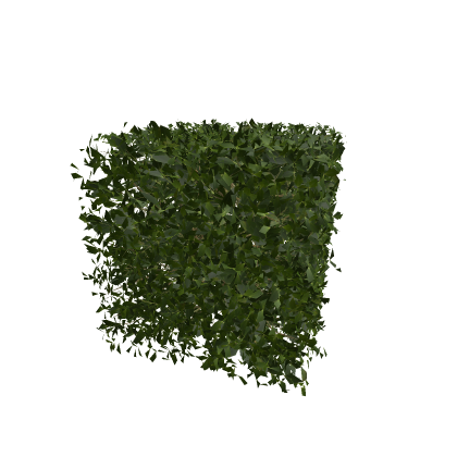 bush square