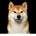 Forgotten's Roblox Hangout