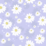 My perfect daisy’s