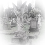 kris's cherubs