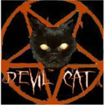 Divine Cat