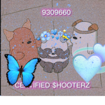 CERTIFIED $HOOTERZ