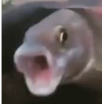 Original Fish Tank