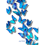 Glossi butterflies