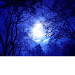 Moonlight Tower Club